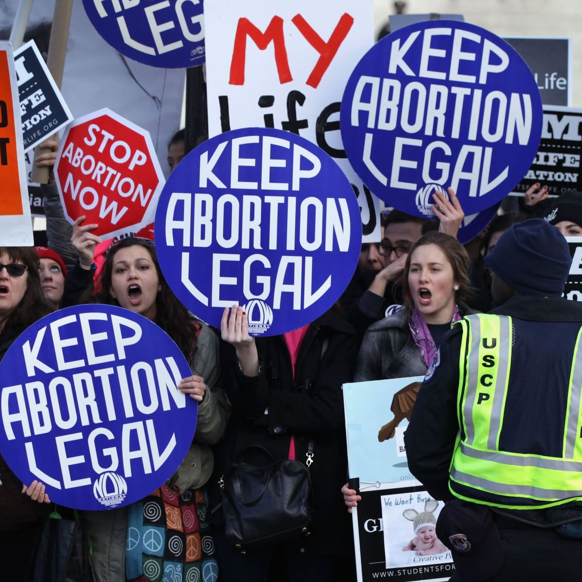 On the Anniversary of Roe v. Wade, a Look at Where Abortion Politics ...