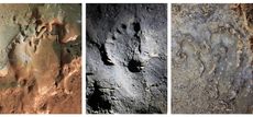 Paleolithic footprints in cave