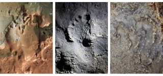 Researchers found a total of 180 human footprints and traces that were made about 14,000 years ago in a cave in northern Italy. Here are three of the footprints, made on different surfaces within the cave.
