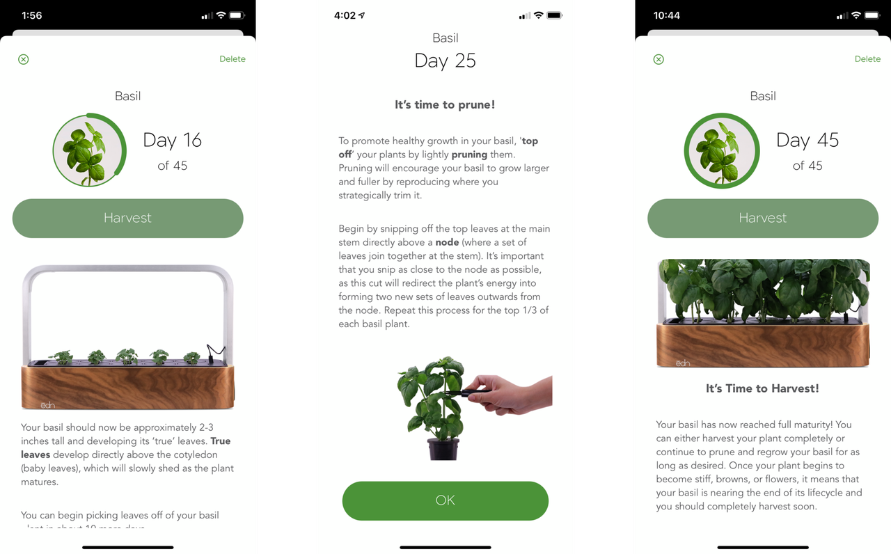 Edn Smallgarden Review App Guide