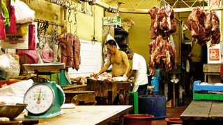 Halal meat production, ritual killing