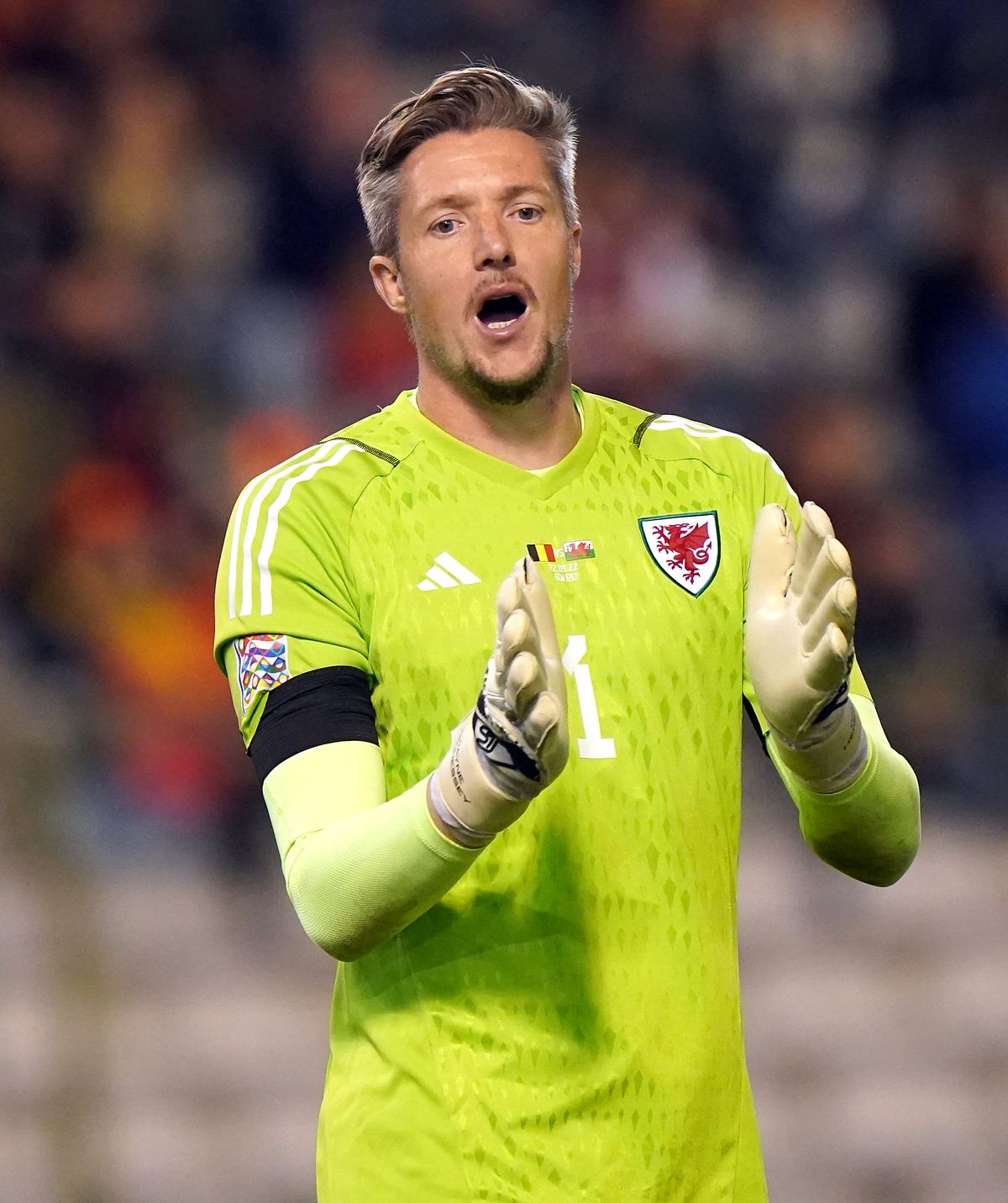 Wales goalkeeper Wayne Hennessey