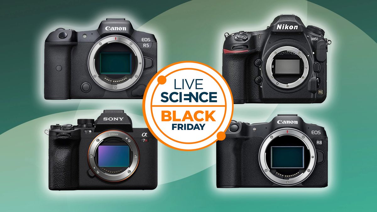 Here are the best early Black Friday camera deals