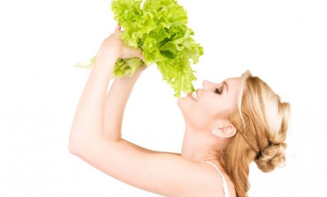 Praise be fresh lettuce!