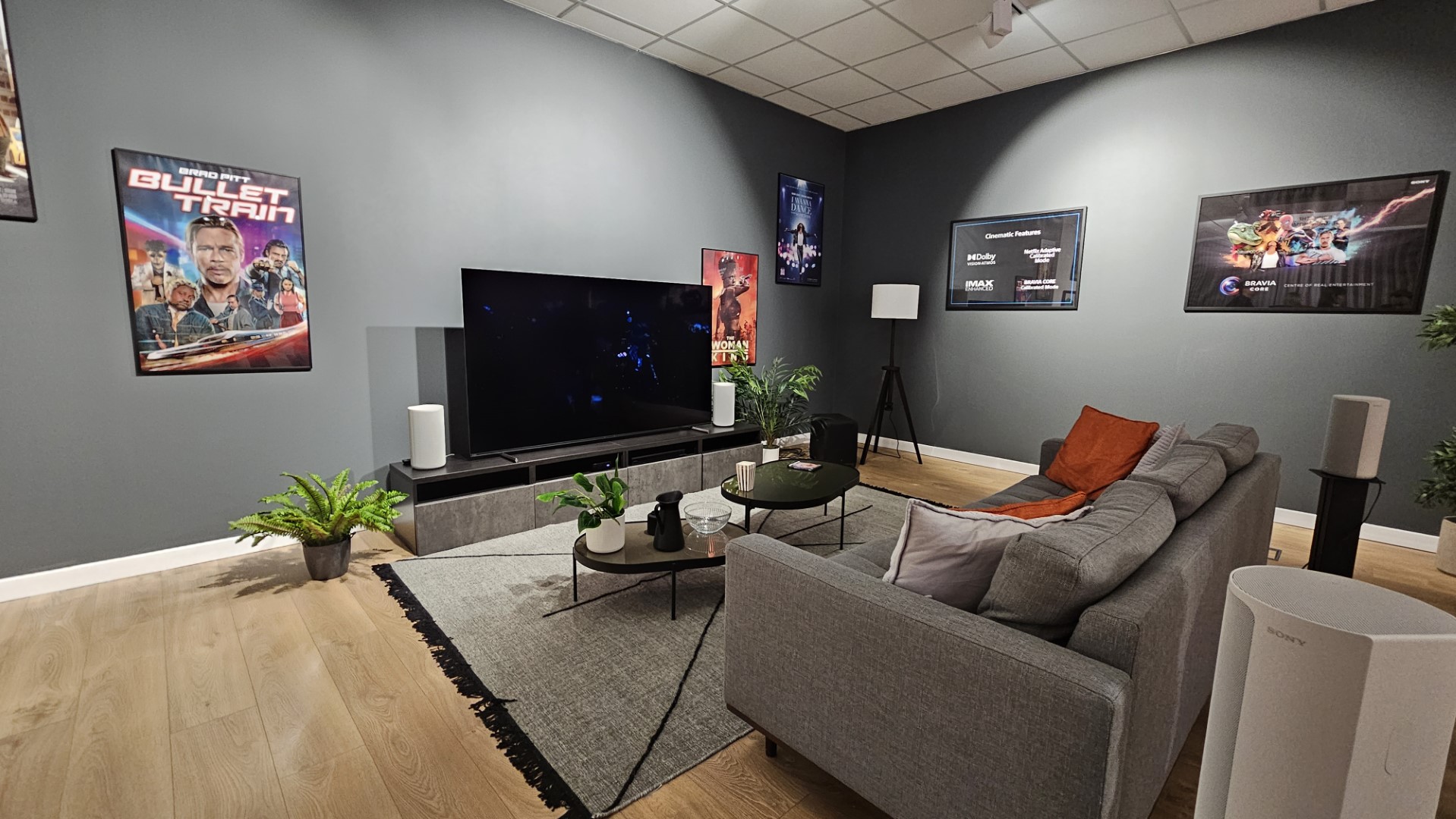 Sony TV 2023