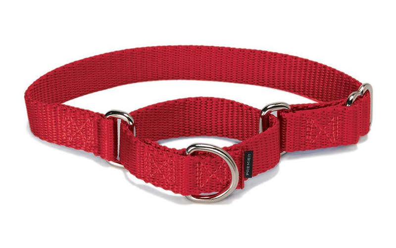 PetSafe Adjustable Martingale Collar