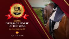dressage-horse-award.jpg