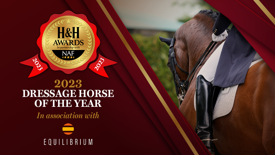dressage-horse-award