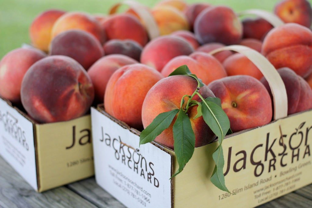 Boxes Full Of Messina Peaches