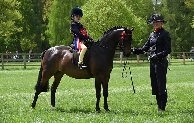 Matilda Holmes riding Hollybush Enchantment, Champion in the Mini Show Pony Championship during Saturday of the Royal Windsor Show, in the grounds of Windsor Castle in Windsor in the county of Berkshire, UK on 14th May 2016