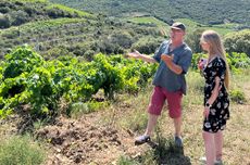 St-Chinian latest releases