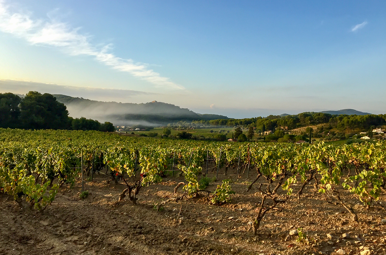 Domaines Ott's &amp;Eacute;toile