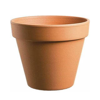 Terracotta planter