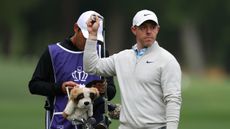 Rory McIlroy pulls a club out of his bag