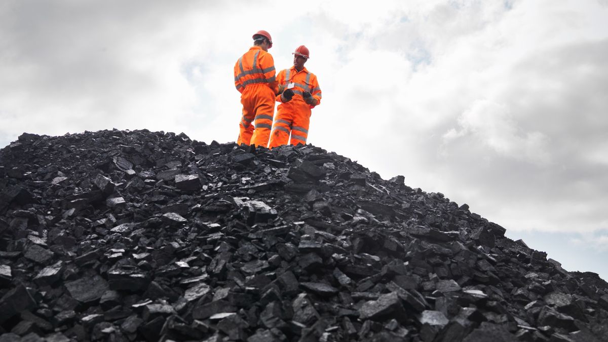 Comment se forme le charbon ?  |  la science en direct