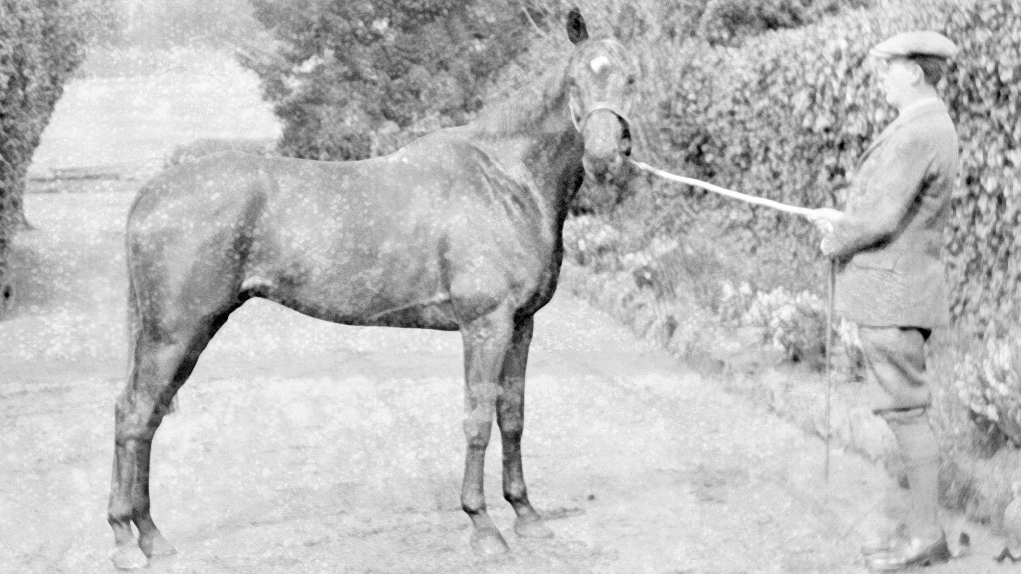 Jack Seely&amp;rsquo;s Warrior