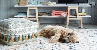 living room with dog lying stretched out on a rug in front of a TV unit