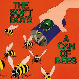 Released in 1979, A Can of Bees is the Soft Boys' debut album