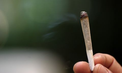 Casual Marijuana Smoking Not Harmful To Lungs Live Science