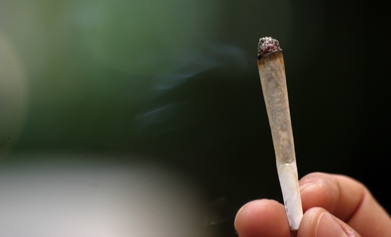 Casual Marijuana Smoking Not Harmful to Lungs | Live Science