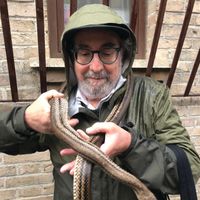 Stephen S. Hall's avatar