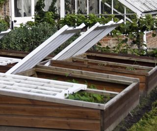 Cold frames and Greenhouse in a large well established country vegetable garden