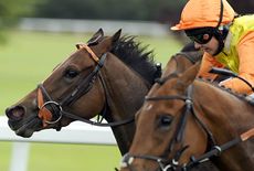 woman-jockey.jpg