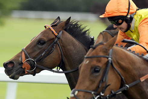 woman-jockey.jpg