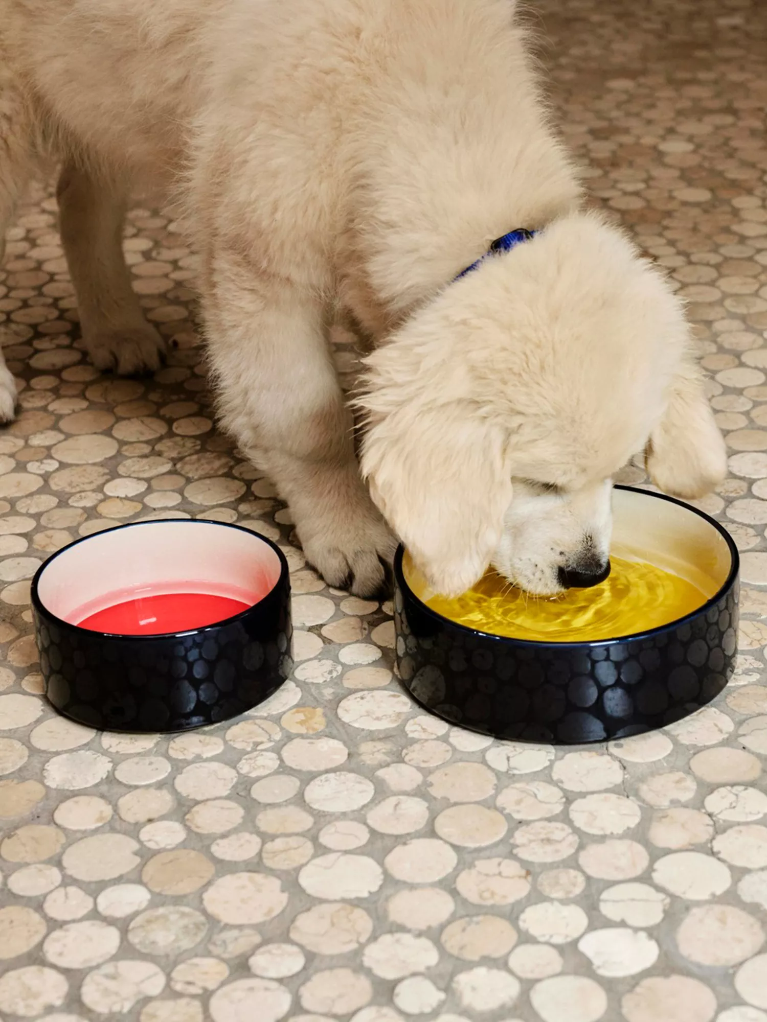 HAY, Colour-Block Large Round Stoneware Dog Bowl