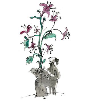 Quentin Blake's ‘Anthology of Readers’ at Shapero Rare Books, December 2019