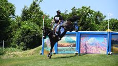 Tim Price and Vitali at Tokyo Olympics: jumping cross-country drop fences