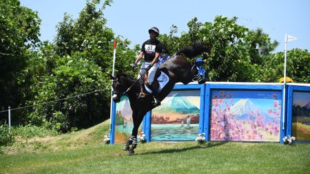 Tim Price and Vitali at Tokyo Olympics: jumping cross-country drop fences