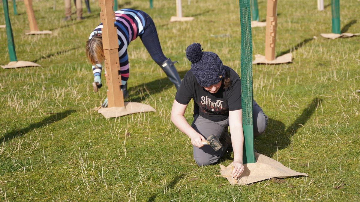 Katie, PCGs hardware writer, planting trees in a field.