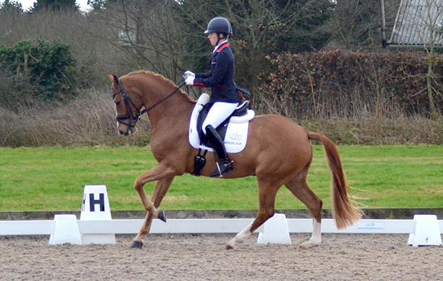 Kilshaw7