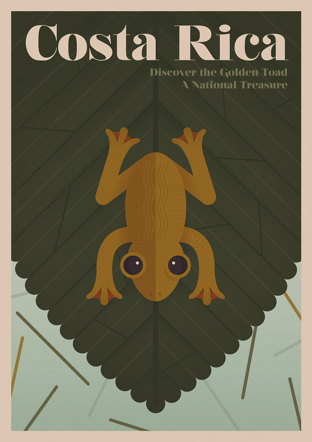 Costa Rica: "Discover the Golden Toad, a National Treasure"