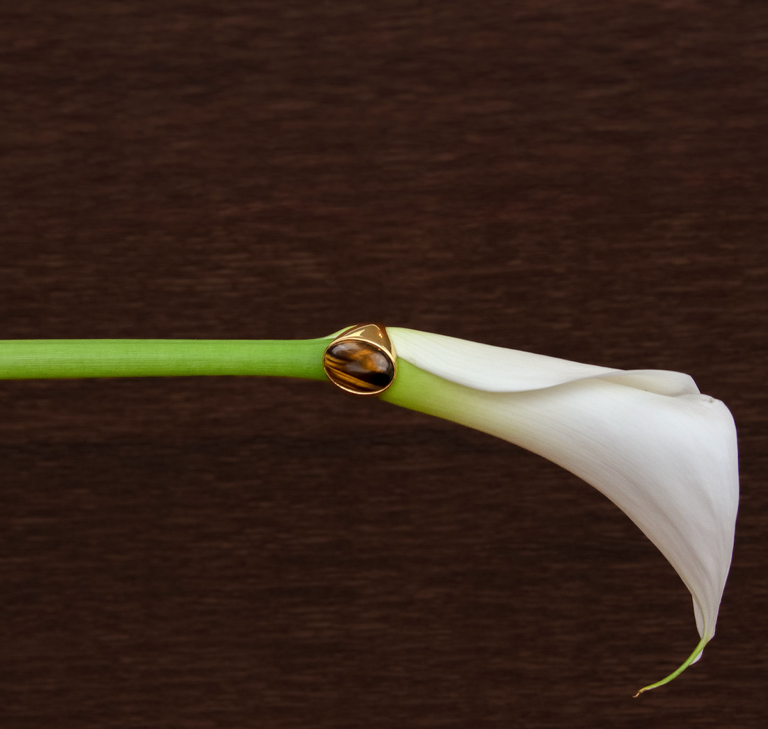 Modern Tiger Signet Ring - 18ct Yellow Gold / 40