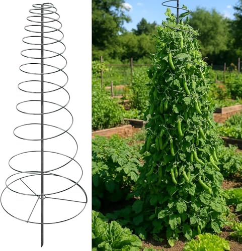 Metal Garden Trellis for Climbing Plants, 185cm Tall Adjustable Spiral Frame Rustproof Trellis, Heavy Duty Steel Structure Support for Roses, Garden Decoration, Flower Bed, Indoor Outdoor Use