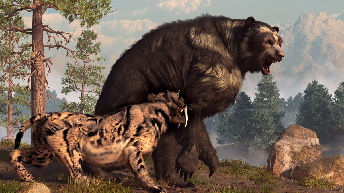 Short-faced bears were North America&#039;s largest predatory mammal. 