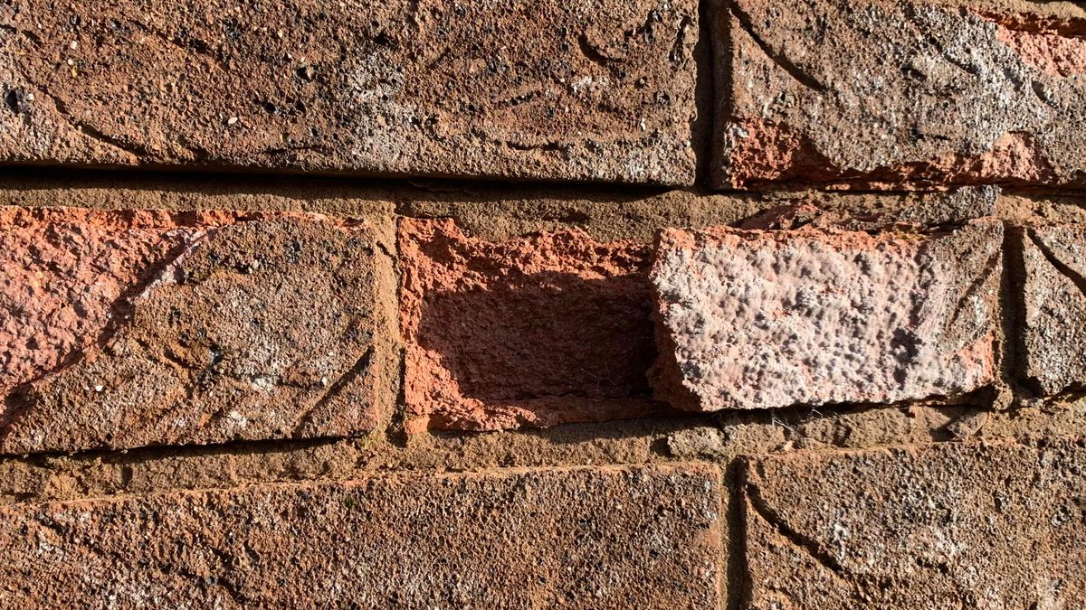 Removing a brick from a wall How to replace damaged bricks Homebuilding