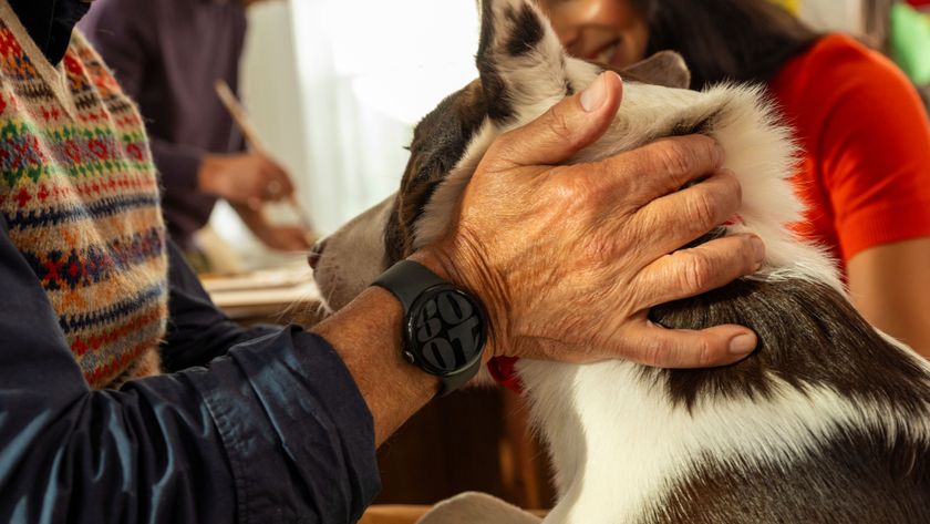 Verizon Number Share Plan users with smartwatches