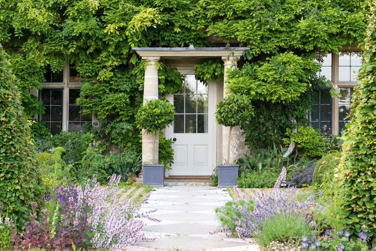 The entrance to the house from the terrace is adorned with an abundance of wisteria, bay-tree lollipops and Sedum ‘Matrona’, with pale-pink nepeta and Lavandula ‘Grosso’ softening the edge of the stone-flagged path. The gardens of Ready Token House, Gloucestershire.