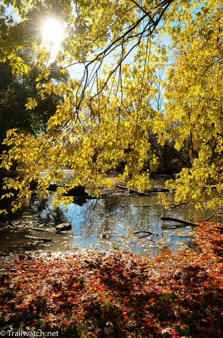 It was a beautiful autumn day along the Ohio River