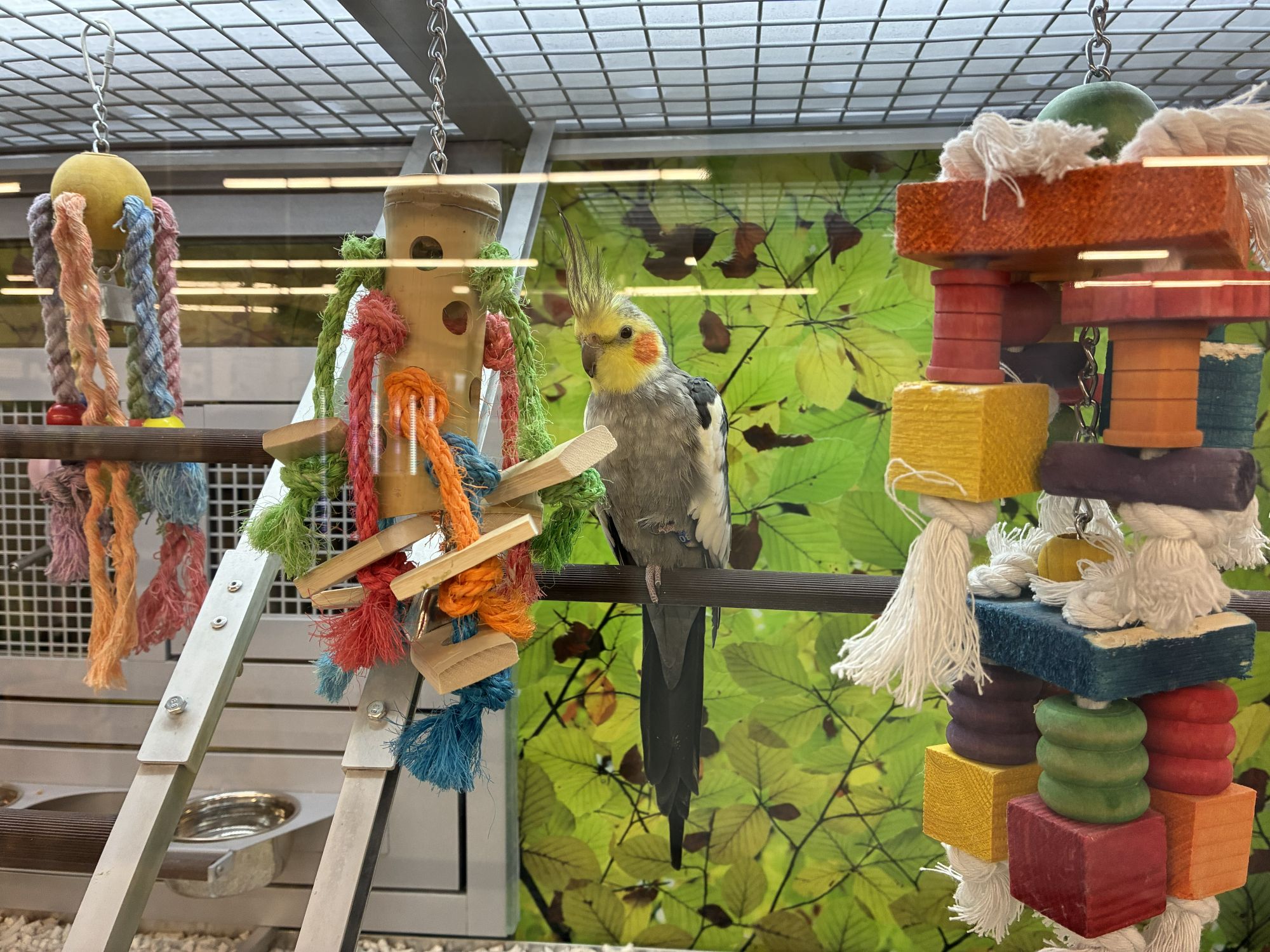 Apple iPhone 17e camera sample.