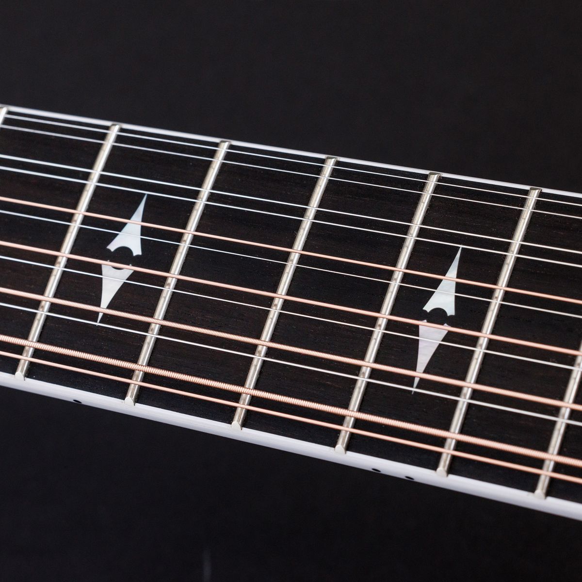 Photos of the Taylor Guitars 50th Anniversary 858E LTD Grand Orchestra 12-String