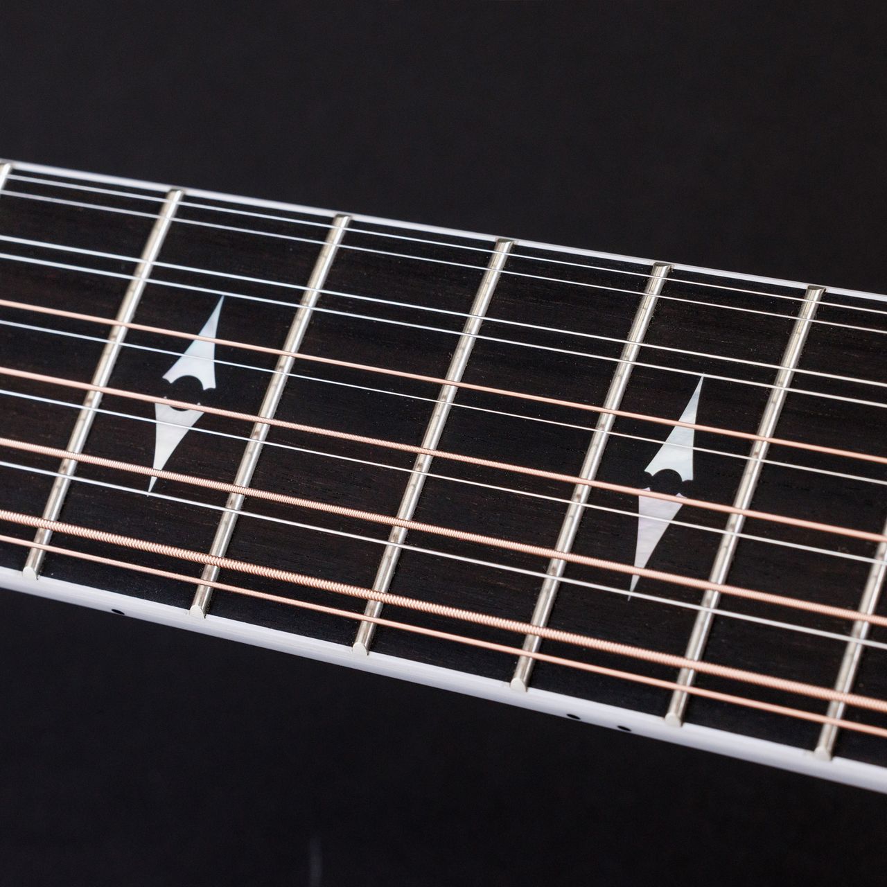 Photos of the Taylor Guitars 50th Anniversary 858E LTD Grand Orchestra 12-String