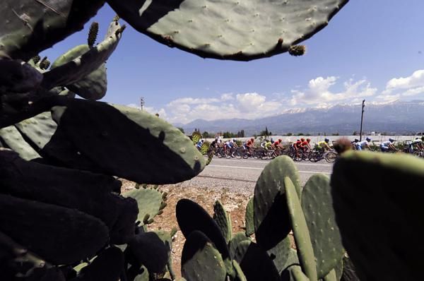A cactus-eye view of the Tour of Turkey peloton in stage six.