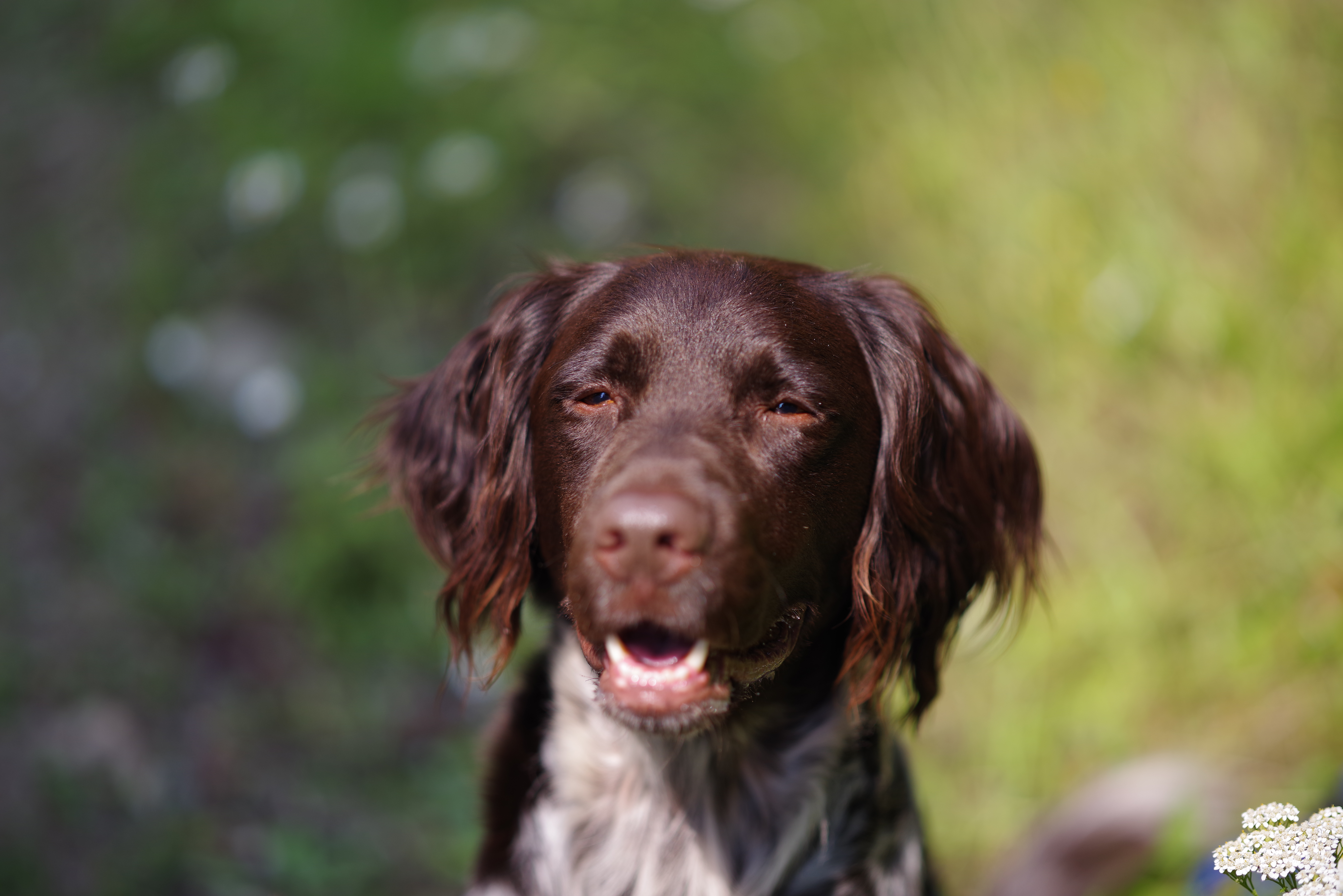 A portrait taken with the Pentax 85mm f/1.4 lens