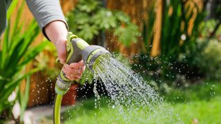 picutre of woman watering garden with a hose