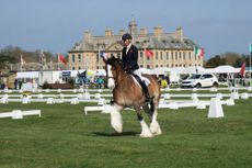 Hovis&rsquo; Friday diary