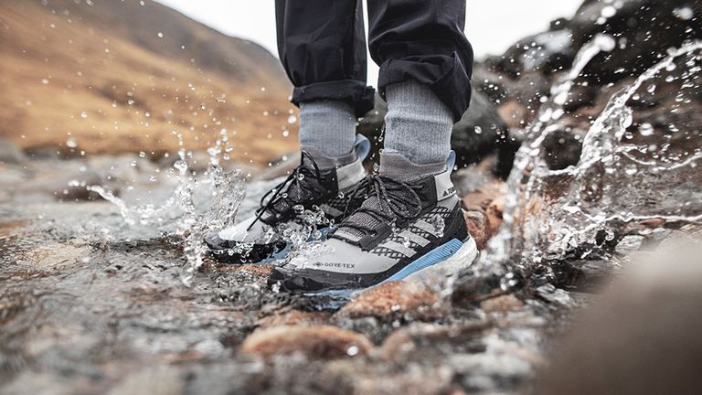 Adidas Terrex Free Hiker GTX hiking boots